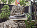 阿迪達斯Yeezy350灰芝麻椰子夏日透氣男女運動休閑鞋F(xiàn)Z1267 45 曬單實拍圖