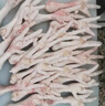溫氏大雞爪帶骨雞腳2斤 雞肉冷凍雞爪子可做無骨雞爪脫骨雞爪食材 曬單實拍圖