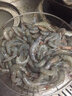 彩海 大蝦 國產(chǎn)青島大蝦 青蝦白蝦海蝦基圍蝦冷凍生鮮 蝦類(lèi) 海鮮水產(chǎn) 鹽凍大蝦 3.6斤(凈重)  17-23cm【單只凍 超大蝦王】 曬單實(shí)拍圖