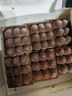 鮮京采提拉米蘇蛋糕【新款】400g 6塊裝 冰淇淋雪糕零食糕點 七夕 曬單實拍圖