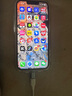 畢亞茲 安卓蘋果轉接頭轉換器線 type-c轉lightning充電數據 支持iPhone14Pro/新SE/12/XR/8Plus/7/6s  曬單實拍圖