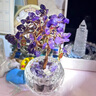 赟婭步步高升玄關(guān)水晶發(fā)財樹(shù)財神擺件辦公室工位玄學(xué)好運桌面裝飾禮物 【步步高升】水晶樹(shù)組合5件套A 曬單實(shí)拍圖