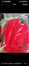 匡威（Converse）CONVERSE匡威官方 Straight Edge男女簡(jiǎn)約電腦雙肩包書(shū)包10021138 10021138-A19 OSFA 曬單實(shí)拍圖