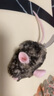 貴為（GiGwi）逗貓玩具發(fā)聲電動(dòng)滑動(dòng)老鼠小貓咪自嗨解悶神器玩具寵物玩具逗貓棒 曬單實(shí)拍圖
