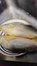 冰鮮部族大黃花魚(yú) 深海大黃魚(yú)海捕活凍鮮活大海魚(yú)鮮海鮮水產(chǎn) 【深海大黃花魚(yú)250g*4條】2斤裝 曬單實(shí)拍圖