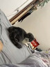 貓包外出便攜包大號雙肩背包20斤寵物貓咪包次日達(dá)太空艙狗航空箱 米白色【調(diào)節(jié)肩帶+舒適軟墊】 【20斤內(nèi)貓/15斤內(nèi)狗】 多孔透氣防應(yīng)激 曬單實拍圖