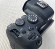 佳能r6二代 全畫幅微單相機 EOS R6 Mark II 4K數(shù)碼高清旅游vlog攝影機身 專業(yè)級微單相機 佳能R6二代單機身(原包未拆封 不含鏡頭) 官方標配 曬單實拍圖