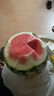 【產(chǎn)地直采】麒麟奶油西瓜 約4.5kg 曬單實(shí)拍圖
