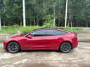 特斯拉（Tesla）官方 2017-2023 Model 3 動(dòng)力輪轂螺帽套件專車專用流線卡口 曬單實(shí)拍圖