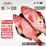 賣魚七郎紅石斑魚凈重3.2斤-3.4斤共2條海捕鮮活冷凍大眼魚整條富貴魚魚類 曬單實拍圖
