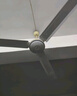 艾美特（AIRMATE）吊扇電風(fēng)扇家用客廳1.4米56吋樓頂扇大風(fēng)力吸頂電風(fēng)扇工業(yè)工廠宿舍銅芯電機(jī)風(fēng)扇 帶調(diào)速器 FZ5613 曬單實拍圖