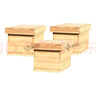 蜜蜂蜂箱全套養(yǎng)蜂工具1.1厚度標(biāo)準(zhǔn)七框蜂箱杉木蜂箱誘蜂箱 1.1標(biāo)準(zhǔn)七框烘干蜂箱三套 曬單實(shí)拍圖