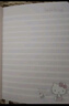 一正手賬本文具創(chuàng  )意彩頁(yè)本可愛(ài)筆記三麗鷗日記本開(kāi)學(xué)禮物女生少女心記事本解壓本 KT減壓本B款8122 曬單實(shí)拍圖