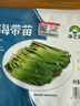 海芝寶 海帶苗200g 曬單實拍圖