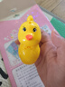 乖明星水鳥口哨兒童發(fā)音訓(xùn)練可注水加水會(huì)學(xué)鳥叫嬰幼兒喇叭小鳥哨子玩具 曬單實(shí)拍圖