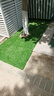 萌肉居 仿真草坪加密假草人造假草皮塑料綠色地毯圍擋戶(hù)外室內幼兒園操場(chǎng)裝飾草人工草坪（20mm春草/平方） 曬單實(shí)拍圖