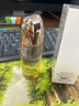 丸美雙膠原小金針重組膠原蛋白精華水60ml  緊致抗皺護(hù)膚品爽膚水 60ml【2瓶】 曬單實(shí)拍圖