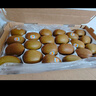 佳沛（zespri）新西蘭  陽光金奇異果16粒禮盒經(jīng)典果單果約 77-103g 水果 獼猴桃 曬單實(shí)拍圖