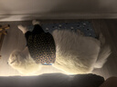 憨憨樂園寵物冰墊狗狗墊子防水夏季降溫貓咪涼席泰迪金毛中小型犬用品 XXL 曬單實拍圖