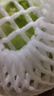 圓白菜約1kg 曬單實拍圖