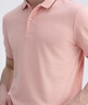 佐丹奴短袖Polo衫男夏季彈力萊卡棉撞色邊翻領(lǐng)上衣男01015383 曬單實(shí)拍圖