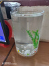 貝拉緣創(chuàng)意客廳金魚缸玻璃水族箱小型生態(tài)圓形圓柱大號烏龜缸造景桌面缸 20*30圓柱+彩石6件套 曬單實拍圖