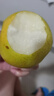 京鮮生 蘇翠一號 凈重3斤 單果200g+ 新鮮水果 源頭直發(fā)包郵 曬單實拍圖
