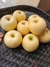 正宗黃金維納斯蘋(píng)果9斤當季現摘新鮮水果脆甜冰糖心奶油富士蘋(píng)果Y 5斤大果【7-9個(gè)】 曬單實(shí)拍圖