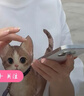 VTT【德國】剃須刀電動男士迷你便攜刮胡刀全身水洗充電式胡須刀送男友520情人節(jié)禮物送父親節(jié)生日 豪華款：六葉6刀片+碳素刀鋼網(wǎng) 曬單實(shí)拍圖