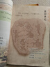 【新華書店正版】小學(xué)4四年級上冊部編版人教版語文+蘇教版數(shù)學(xué)全套2本書課本四年級上冊語文數(shù)學(xué)教材教科書四4上語文數(shù)學(xué)書 【兩本】四上語文+數(shù)學(xué)【蘇教】 標(biāo)準(zhǔn) 曬單實拍圖