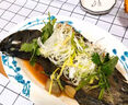 貝鮮貓石斑魚(yú)海捕鮮活冷凍老虎龍躉斑龍膽斑魚(yú)類(lèi)海鮮送禮 海捕石斑魚(yú) 1-1.2斤/條 曬單實(shí)拍圖