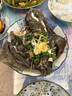 【大只】鮮活大多寶魚1條（600-800g） 曬單實拍圖