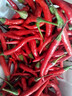 新鮮小米辣超市品質(zhì)小米椒即食生鮮調料小米辣 【專(zhuān)享】 250g 曬單實(shí)拍圖