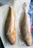 1號會員店【山姆同廠】冷凍寧德三去大黃魚 黃花魚 凈重700g/2條裝 水產(chǎn)魚 曬單實拍圖