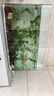 高清熱彎浮法透明玻璃魚(yú)缸客廳家用造景裝飾生態(tài)中小型生態(tài)金魚(yú)缸 熱彎魚(yú)缸-簡(jiǎn)易升級套餐 長(cháng)60*寬30*高35cm 曬單實(shí)拍圖