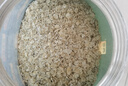 西麥有機(jī)胚芽燕麥片桶裝800g 家庭裝高蛋白質(zhì)營(yíng)養(yǎng)早餐0添加蔗糖 曬單實(shí)拍圖