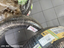 佳通(Giti)輪胎215/50R17 91V 228v1 適配 標(biāo)致408/EU5/名圖/思域 曬單實(shí)拍圖