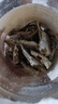 萬達 香脆黃魚酥250g×1罐原味吮指香酥小黃魚海味休閑追劇零食 曬單實拍圖