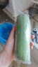 湖南青絲瓜新鮮蔬菜生鮮現摘肉絲瓜清甜可口湘菜必備 青絲瓜 2斤 帶箱 曬單實(shí)拍圖