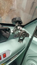 車(chē)載手機(jī)支架貨車(chē)吸盤(pán)中控臺(tái)導(dǎo)航車(chē)內(nèi)用固定支撐架汽車(chē)手機(jī)架 銀黑色 曬單實(shí)拍圖