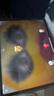 Apple/蘋果iPad Air 13英寸 M3芯片2025年款 平板電腦 (256GB WLAN版/學(xué)習(xí)辦公娛樂)藍色 曬單實拍圖