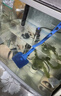 寵街坊水族箱玻璃魚缸清潔刷長柄魚缸刷子加長魚缸玻璃擦棉刷1個裝 曬單實拍圖