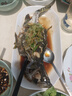鮮活沖浪大鱸魚600-750g/條 曬單實(shí)拍圖