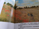 小蓮游莫奈花園系列（精裝 套裝4冊） 曬單實(shí)拍圖