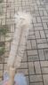 云獨(dú)無死角木柄軟毛刷 廚房加長柄奶瓶刷子 水桶杯子水壺保溫杯清潔刷 木柄款【尺寸可自選】 31.7CM-適合細(xì)口水杯/奶瓶等 曬單實(shí)拍圖