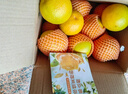 京鮮生 湖北秭歸夏橙凈重4.5斤 單果170g+ 生鮮水果 源頭直發(fā)包郵 曬單實拍圖