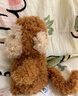 Jellycat英國(guó)卷毛小狗豬羊貓咪蛇毛絨玩偶公仔布娃娃玩具 Little小猴子[18cm] 曬單實(shí)拍圖