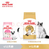 皇家貓糧 布偶成貓糧 RA32 通用糧 12月以上 4.5KG 曬單實(shí)拍圖