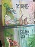 （全8冊）國學(xué)啟蒙注音版幼兒早教三字經(jīng)百家姓書(shū)弟子規小學(xué)生論語(yǔ)道德經(jīng)增廣賢文聲律啟蒙笠翁對韻 曬單實(shí)拍圖