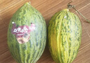 趣嘗鮮 藤上熟黑金蜜瓜 2枚 6-7斤 蜜瓜 新鮮水果 源頭直發(fā) 包郵 曬單實(shí)拍圖